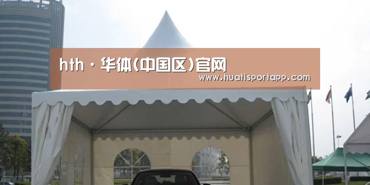 案例标题八