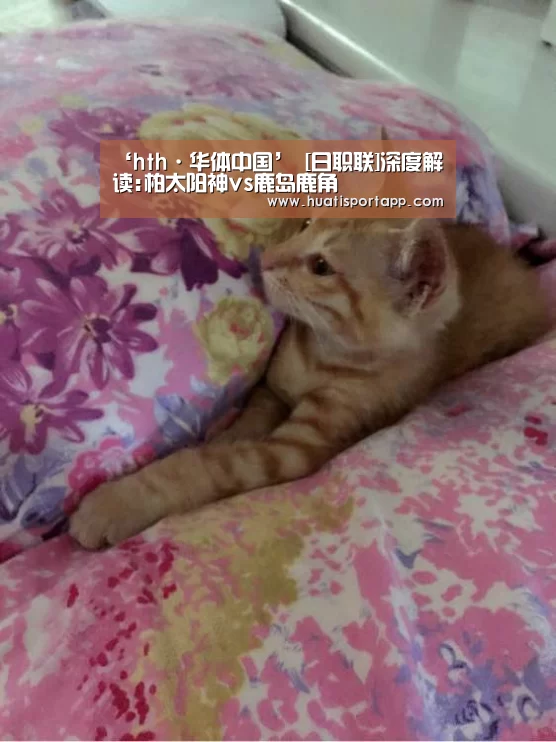 hth·华体中国