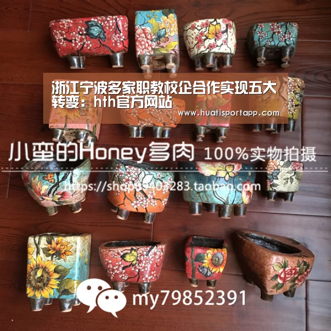 hth·华体中国