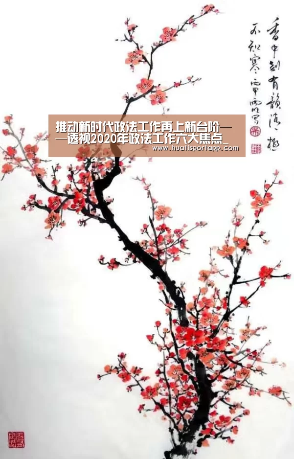 推动新时代政法工作再上新台阶——透视2020年政法工作六大焦点_时事政治_中公教育网【hth·华体(